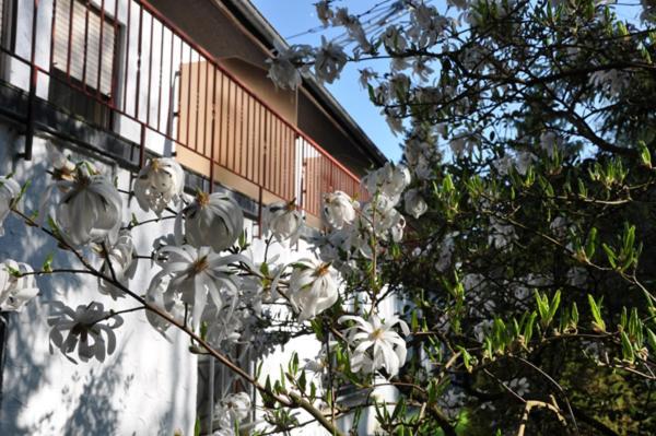 Hostellerie Val Fleuri Mersch Bagian luar foto